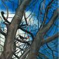 Gallery: thumbnails